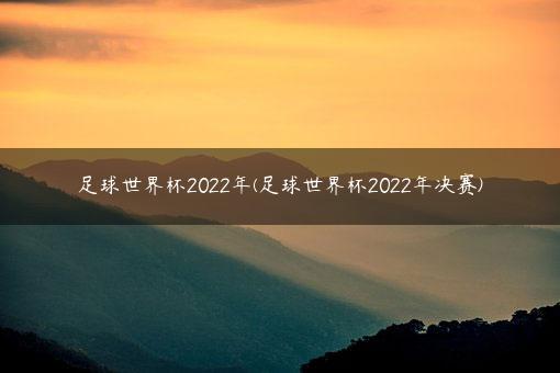 足球世界杯2022年(足球世界杯2022年决赛)