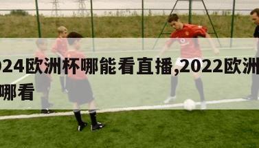 2024欧洲杯哪能看直播,2022欧洲杯在哪看