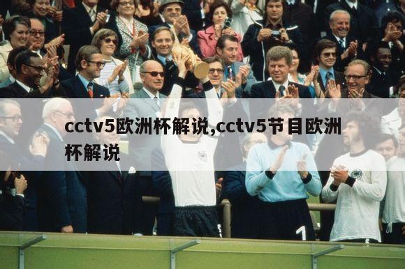 cctv5欧洲杯解说,cctv5节目欧洲杯解说