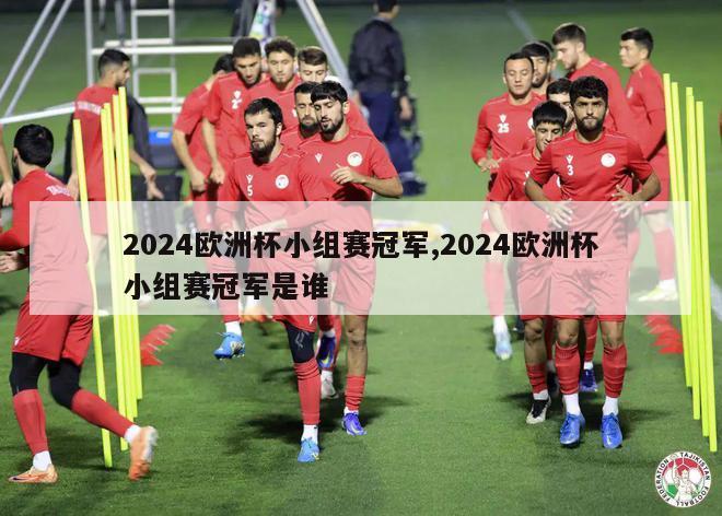 2024欧洲杯小组赛冠军,2024欧洲杯小组赛冠军是谁