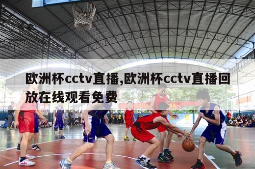 欧洲杯cctv直播,欧洲杯cctv直播回放在线观看免费