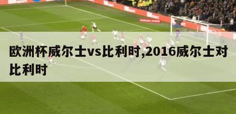 欧洲杯威尔士vs比利时,2016威尔士对比利时